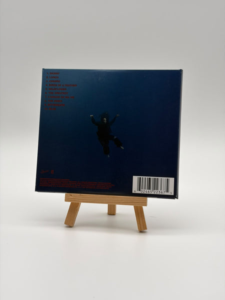 Hit Me Hard and Soft CD